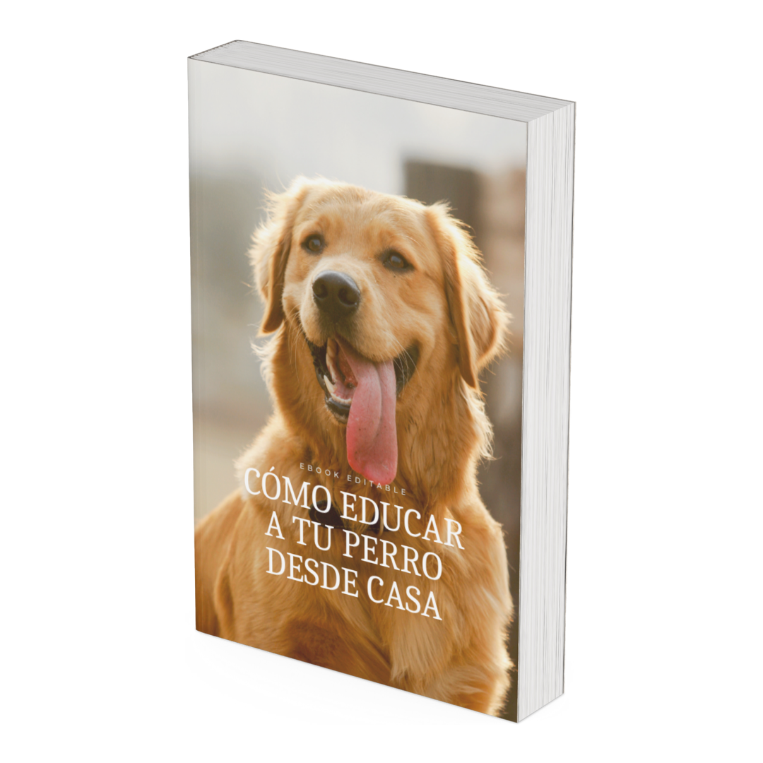 Cómo educar a tu perro desde casa - Ebook